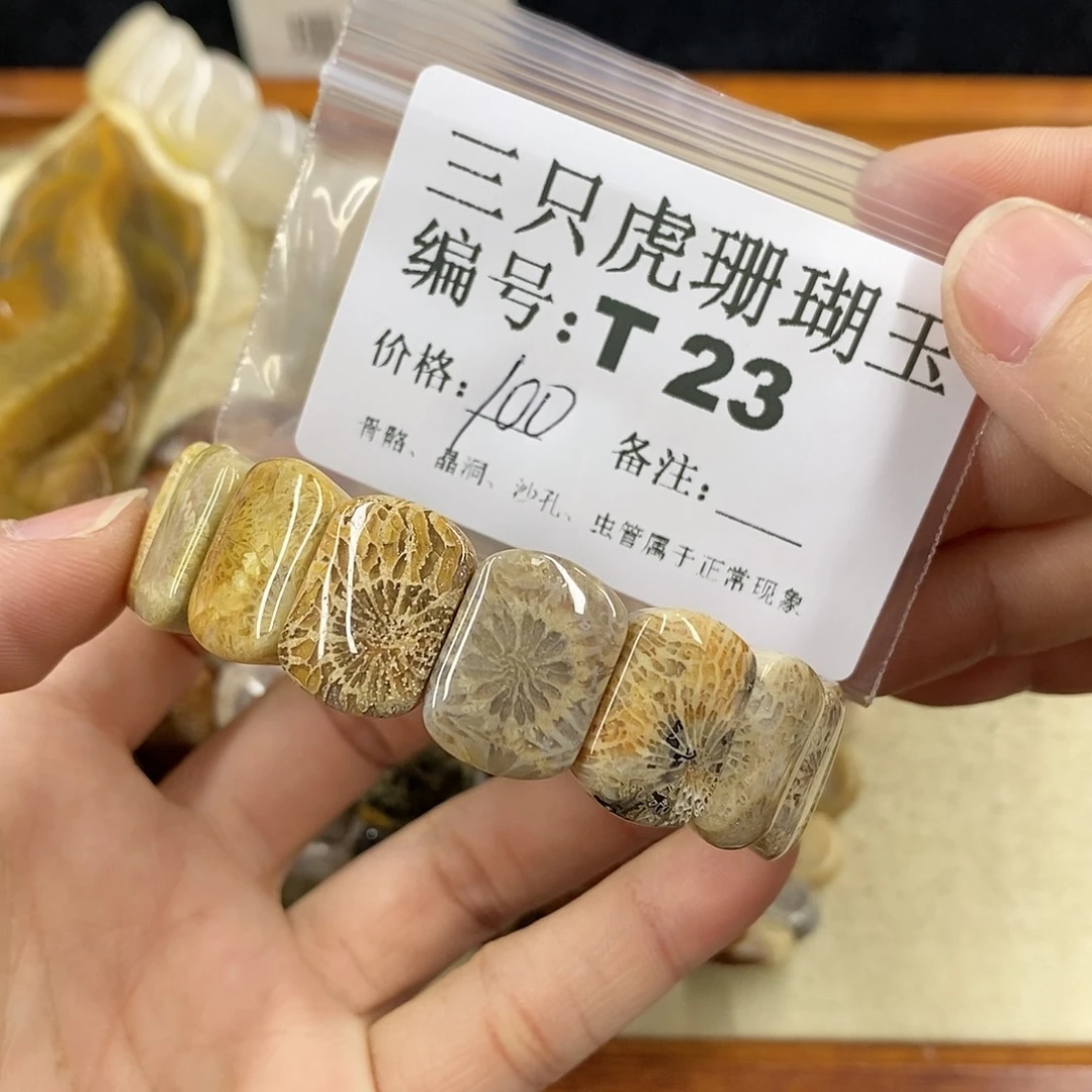 硅化珊瑚（珊瑚玉）1未镶嵌K**T