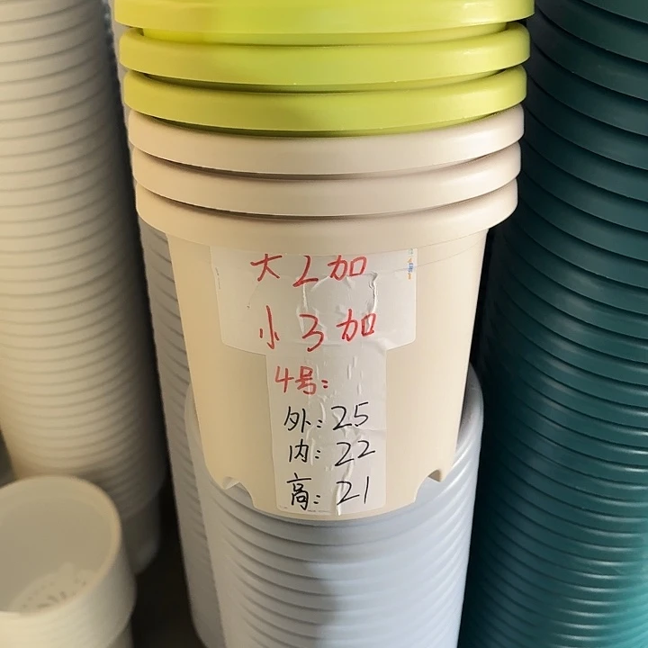四季4#口径25灰白5个无托