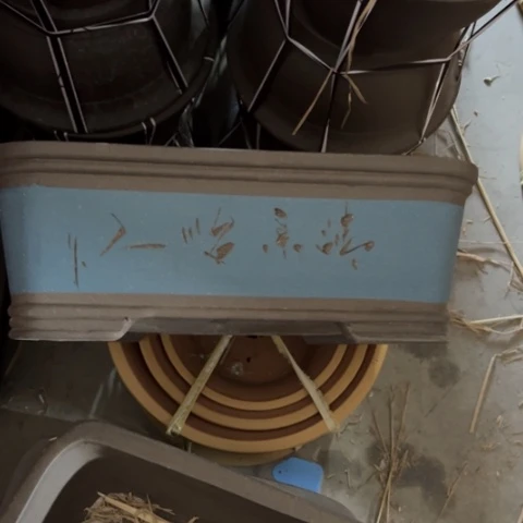 紫砂花盆紫砂处理2个。       蓝色