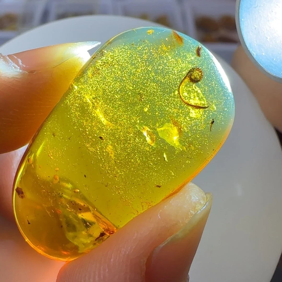 琥珀裸石未镶嵌马陆