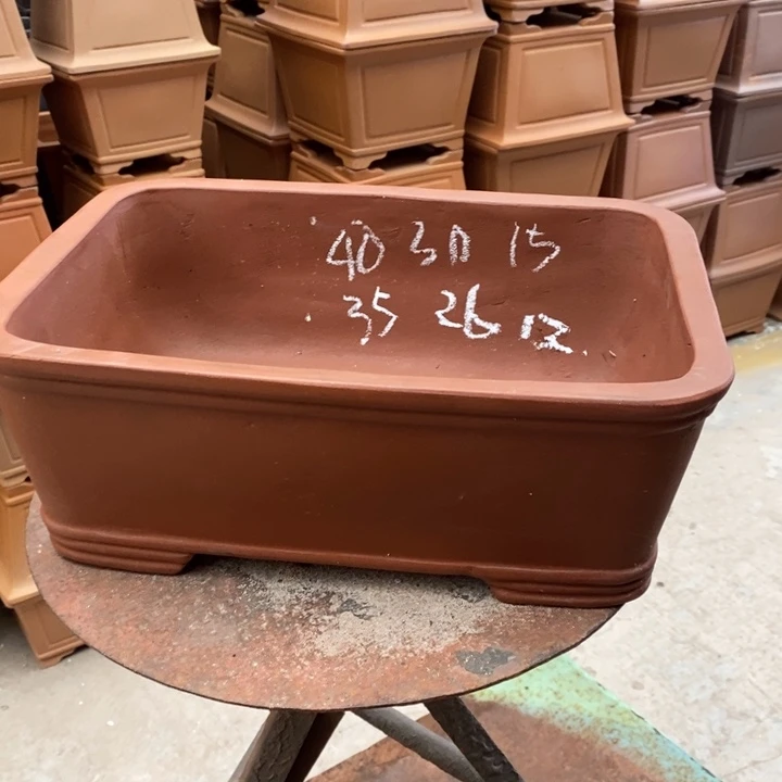 紫砂花盆只顾看手机的