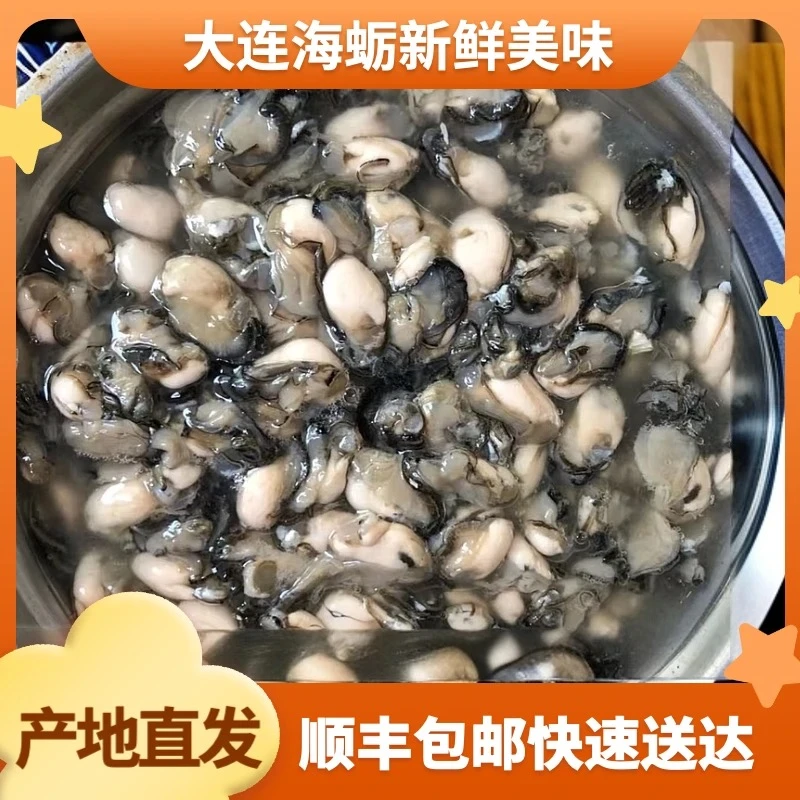 大连杏树屯礁石小海蛎肉生态小海蛎肉/牡蛎肉 远处冻发非生蚝3斤