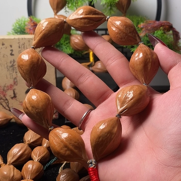 橄榄核手串/手链2.3鸡血红鹦鹉手持9