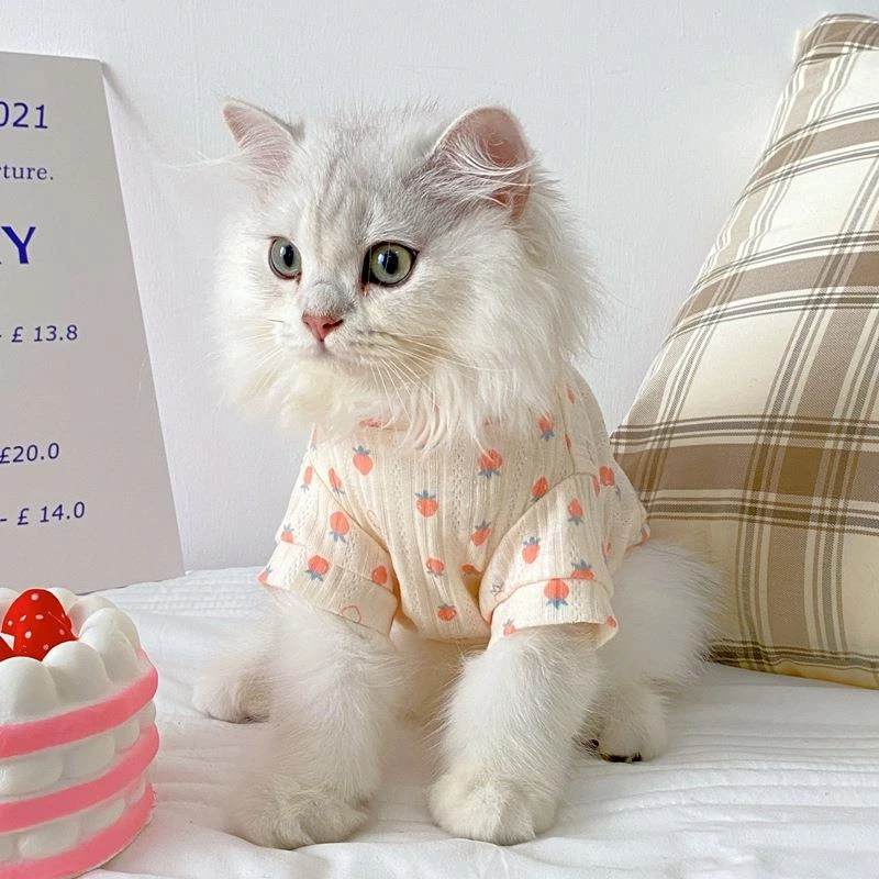 范哲萨猫咪衣服防掉毛布偶英短宠物夏天蓝猫小猫的空调背心猫猫薄