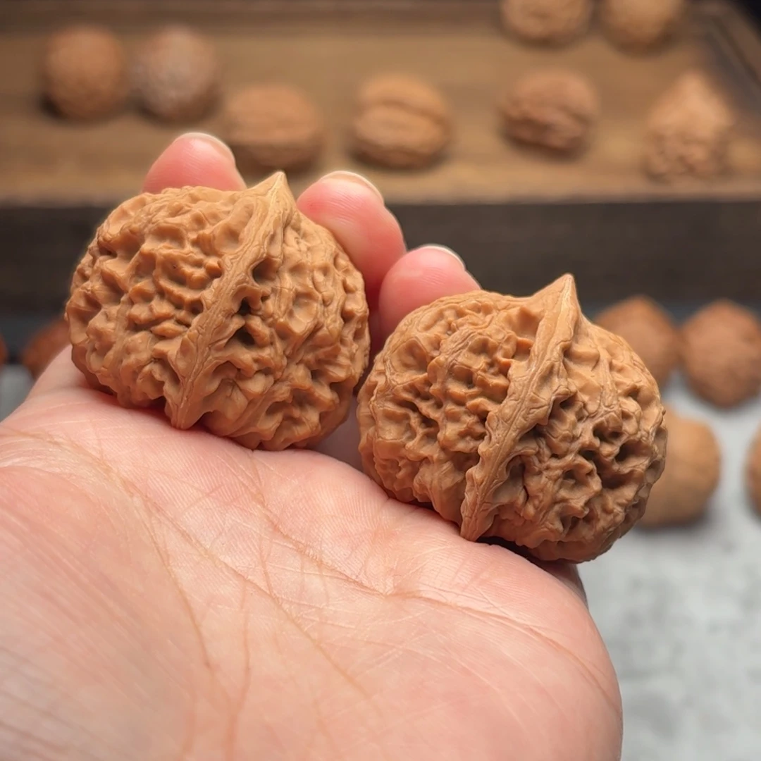 文玩核桃把件太行龙纹【381102】