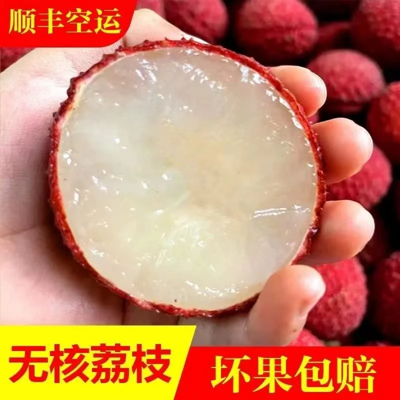 无核荔枝甜新鲜当季水果现摘现发农家顺丰空运无籽当季整箱礼盒装