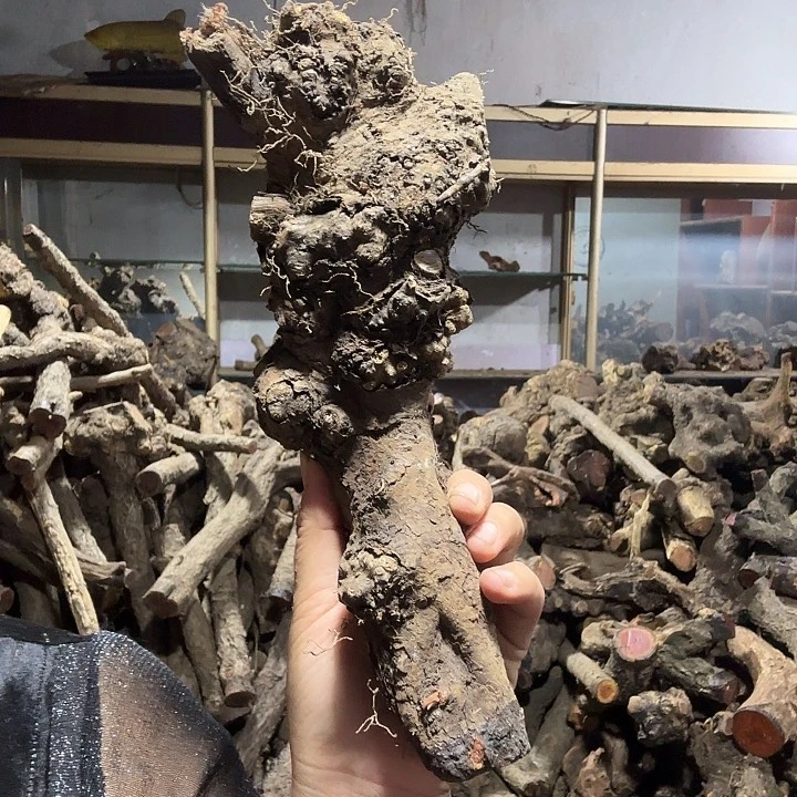 付***玩香榧木火琉璃的故事是一个