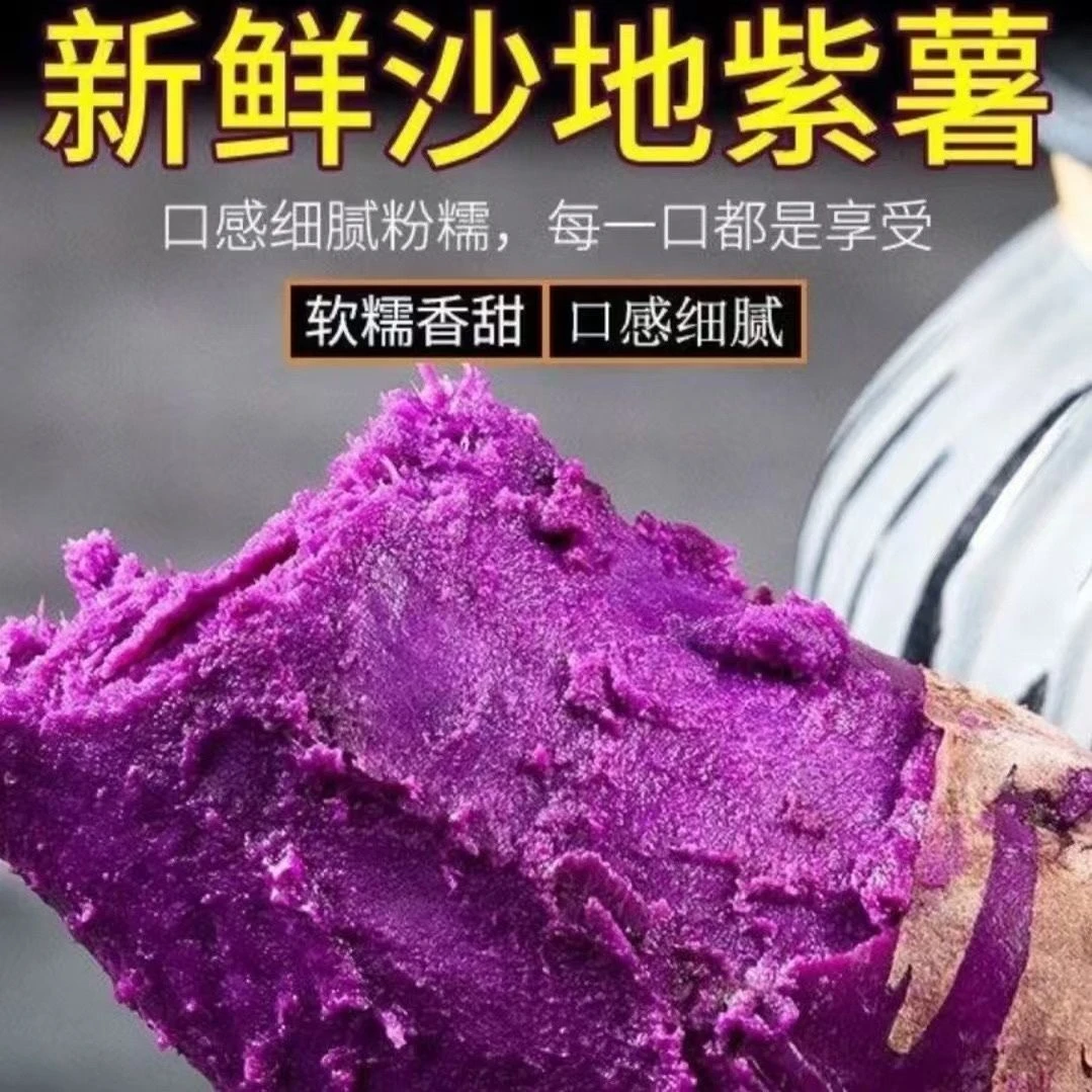 沙地现挖紫罗兰紫薯11蜜薯紫心红薯粉糯健康粗粮番薯地瓜