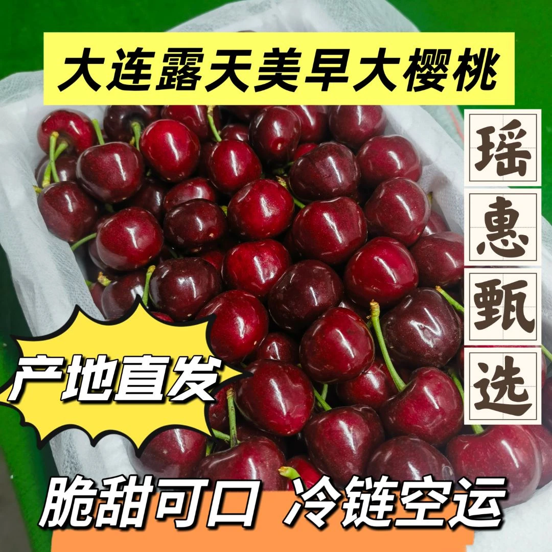 【家庭装】大连美早大樱桃现摘现发脆甜可口顺丰包邮