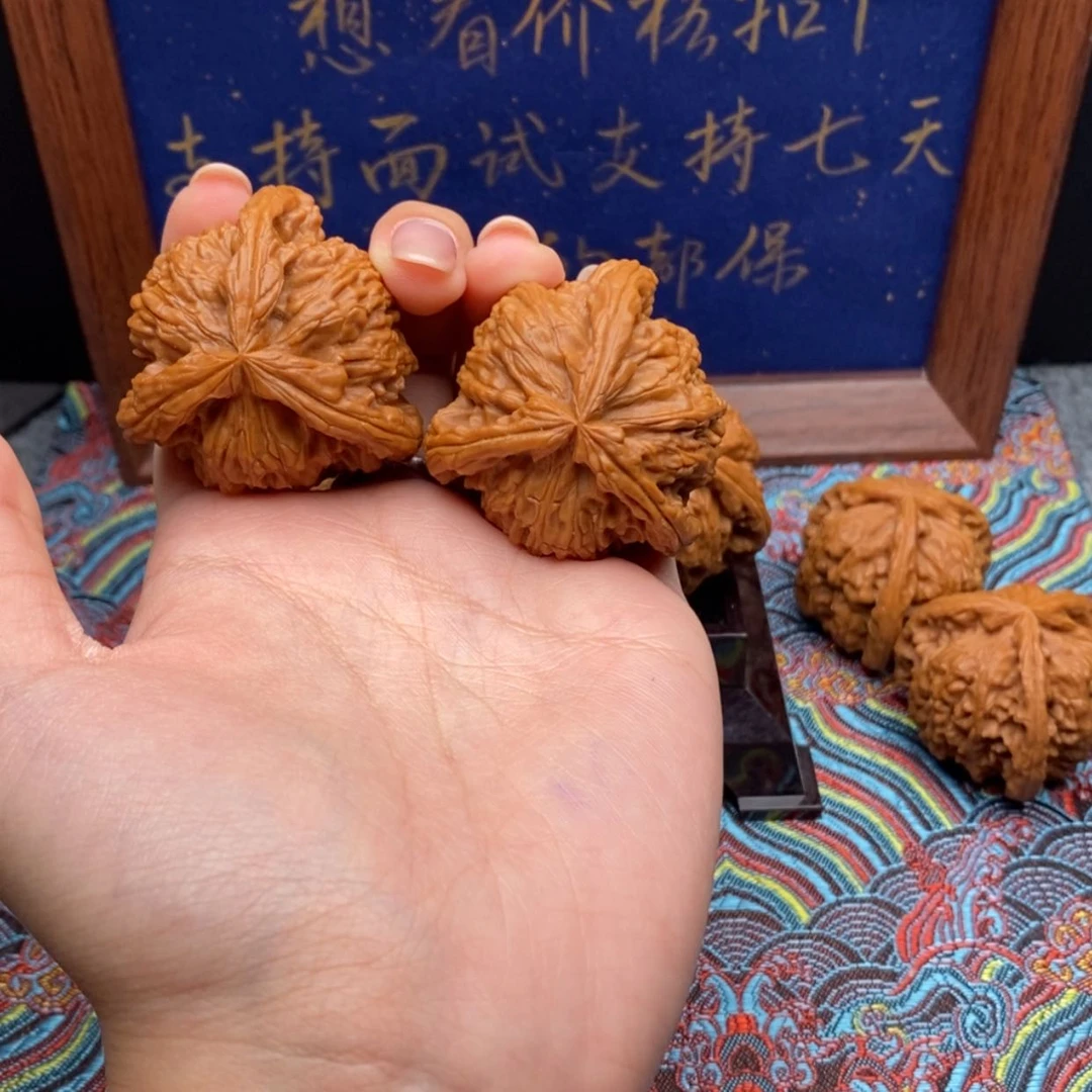 【闪购商品】大**言白狮