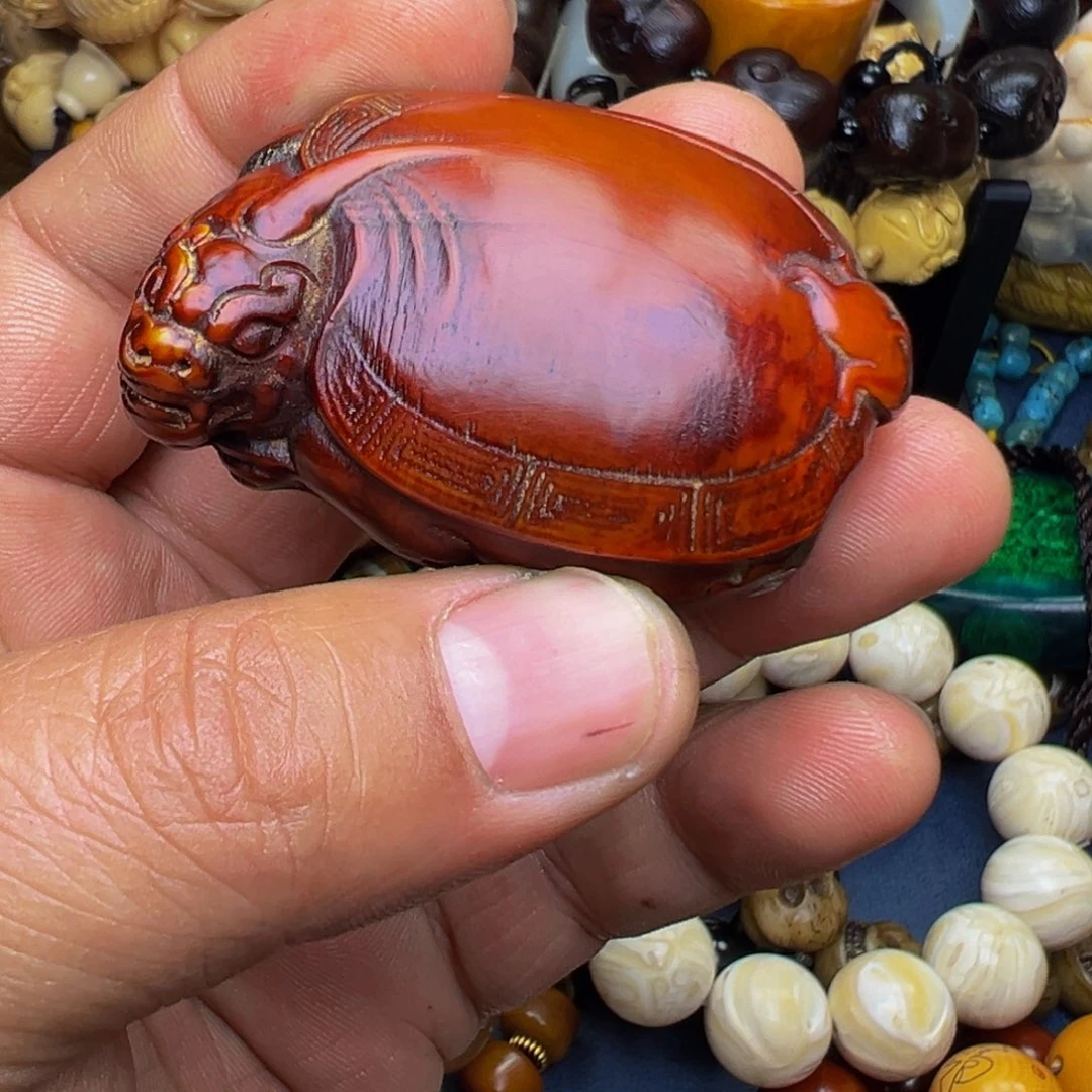 牛骨其他896545788887555455