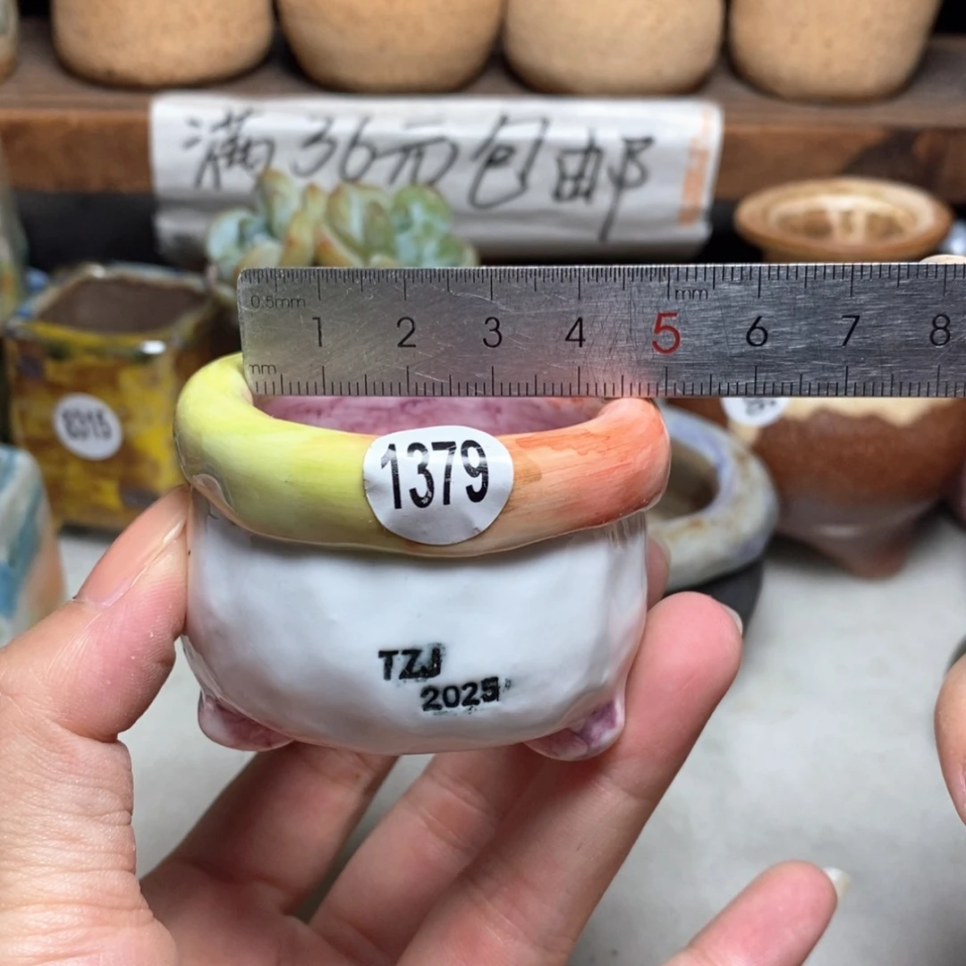 拍3送一个小礼物