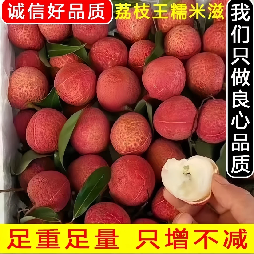 【产地直发】正宗糯米糍现摘现发新鲜糯米糍正宗新鲜荔枝