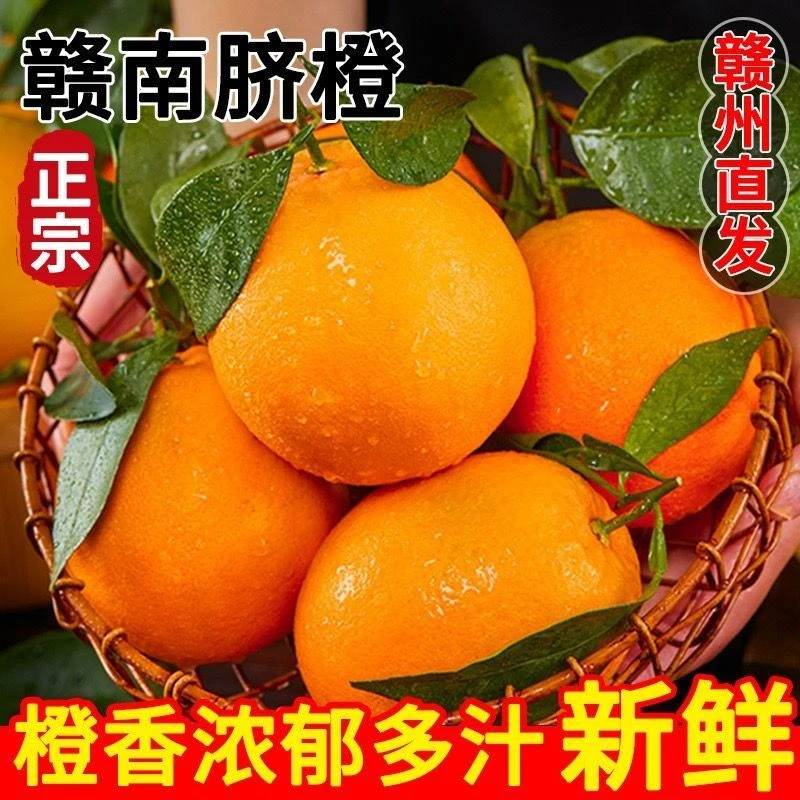 【彩箱】正宗江西赣南脐橙新鲜当季水果整箱5斤/10斤/20斤产地直发