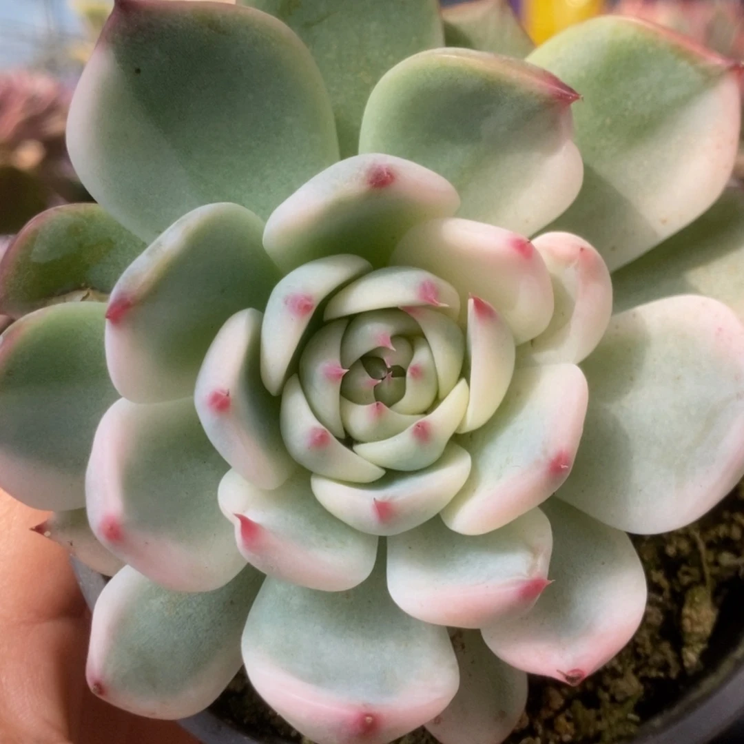 760锦锦锦锦锦锦锦锦