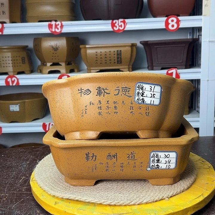 花盆紫砂你在一起