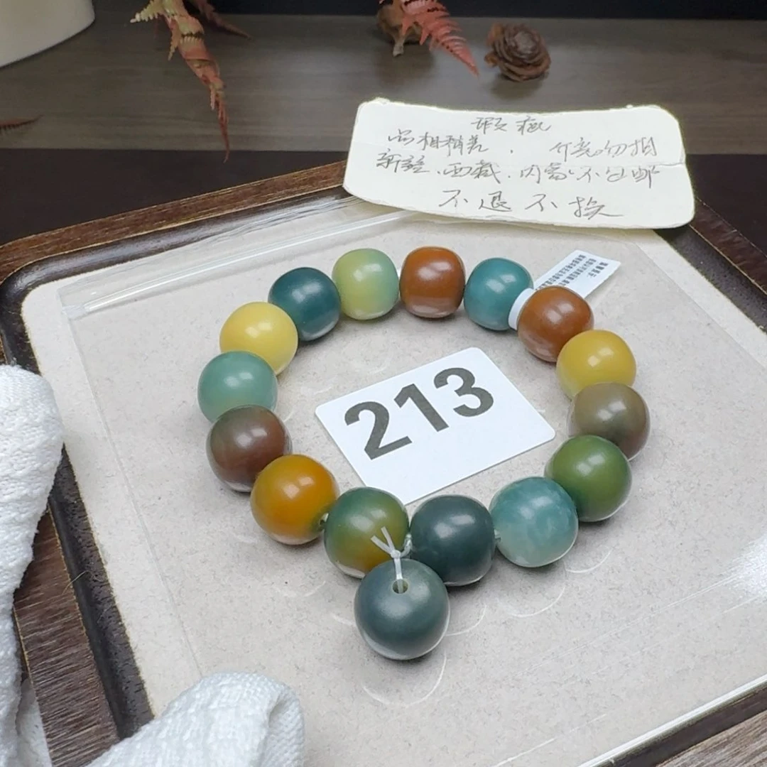 菩提根/象牙果吊坠近全15.6