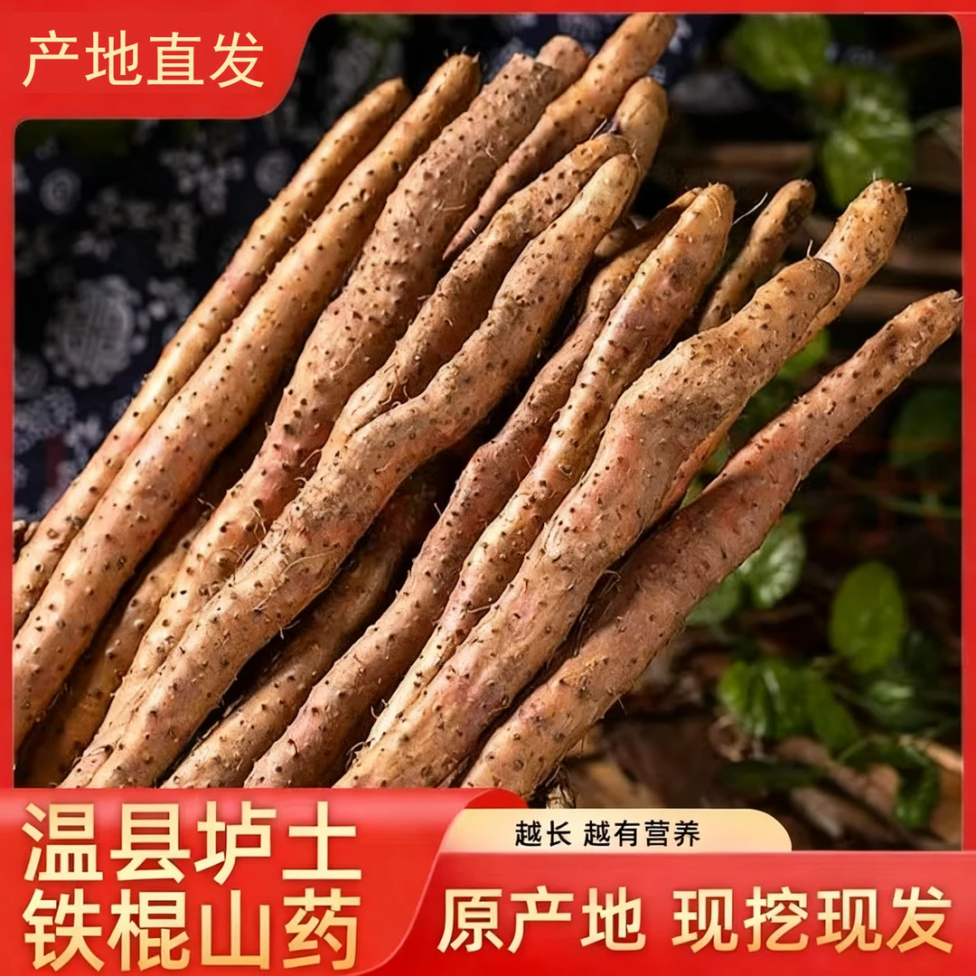 慢时耕特长大果温县垆土铁棍山药营养丰富新鲜淮山怀山药坏果包赔