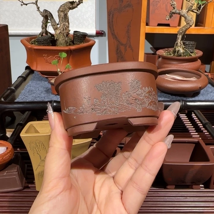 花盆紫砂口径7深度3.3