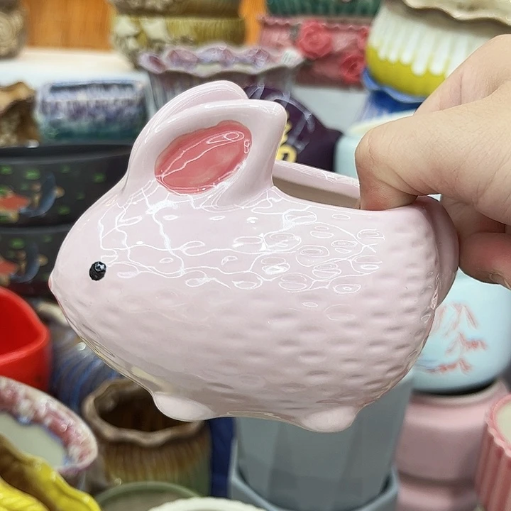 多肉植物陶瓷花瓶