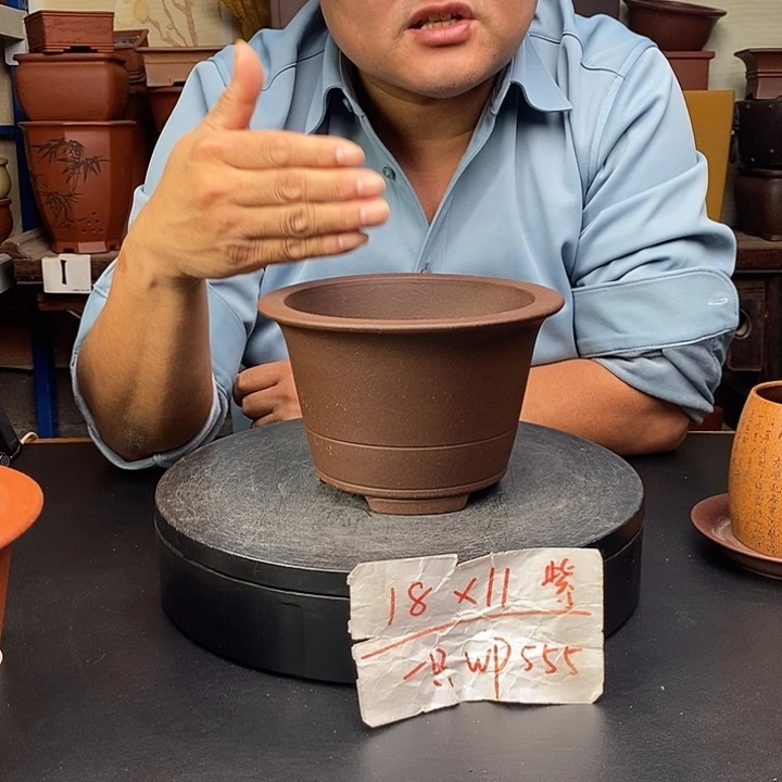 花盆紫砂货号一只WP555