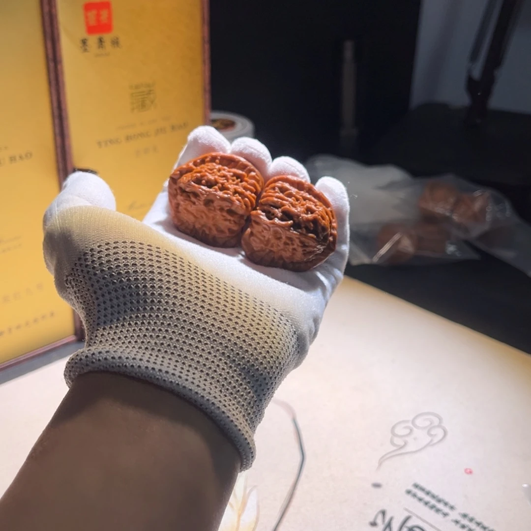 白狮子白狮子白狮子。