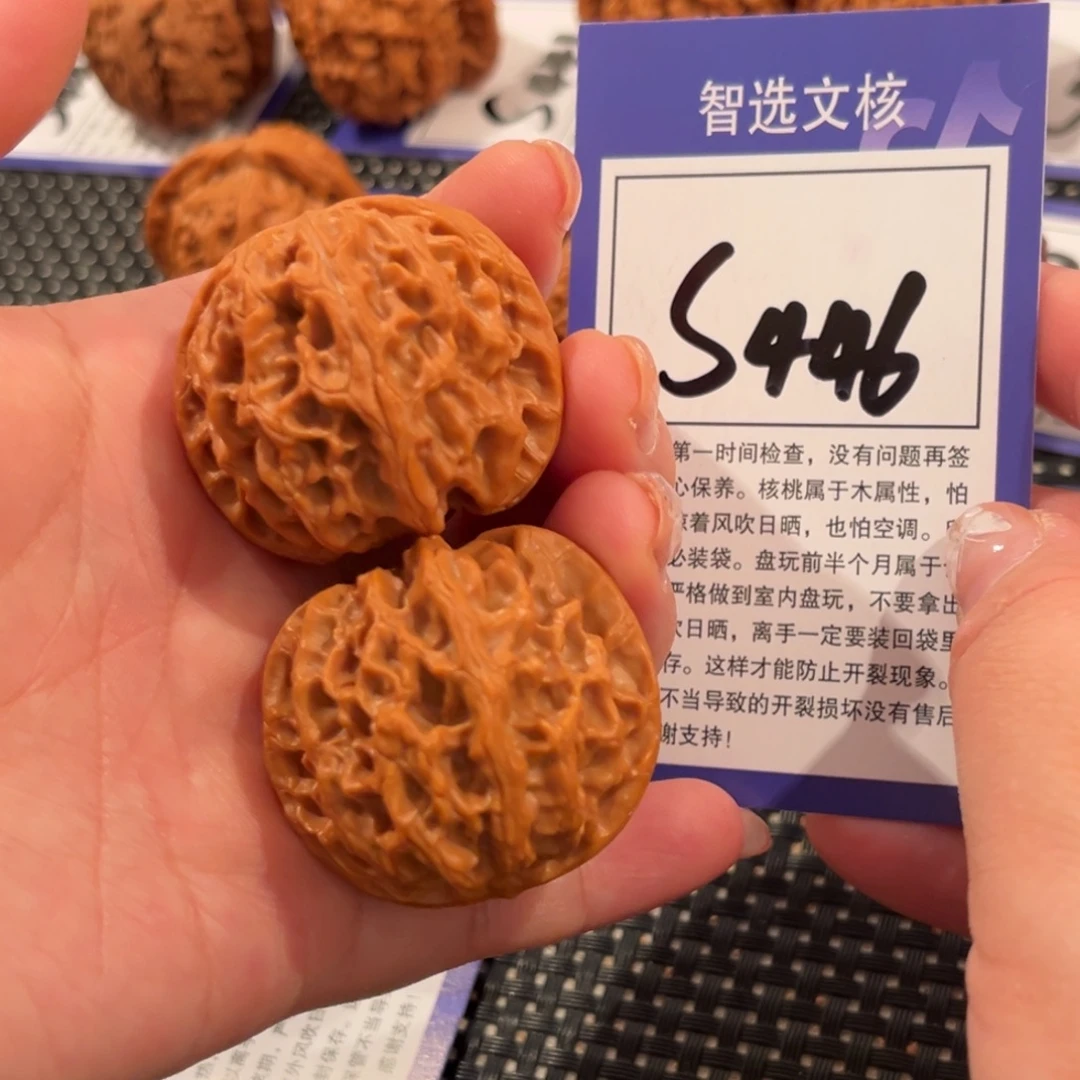 核桃S446号苹果园39尺