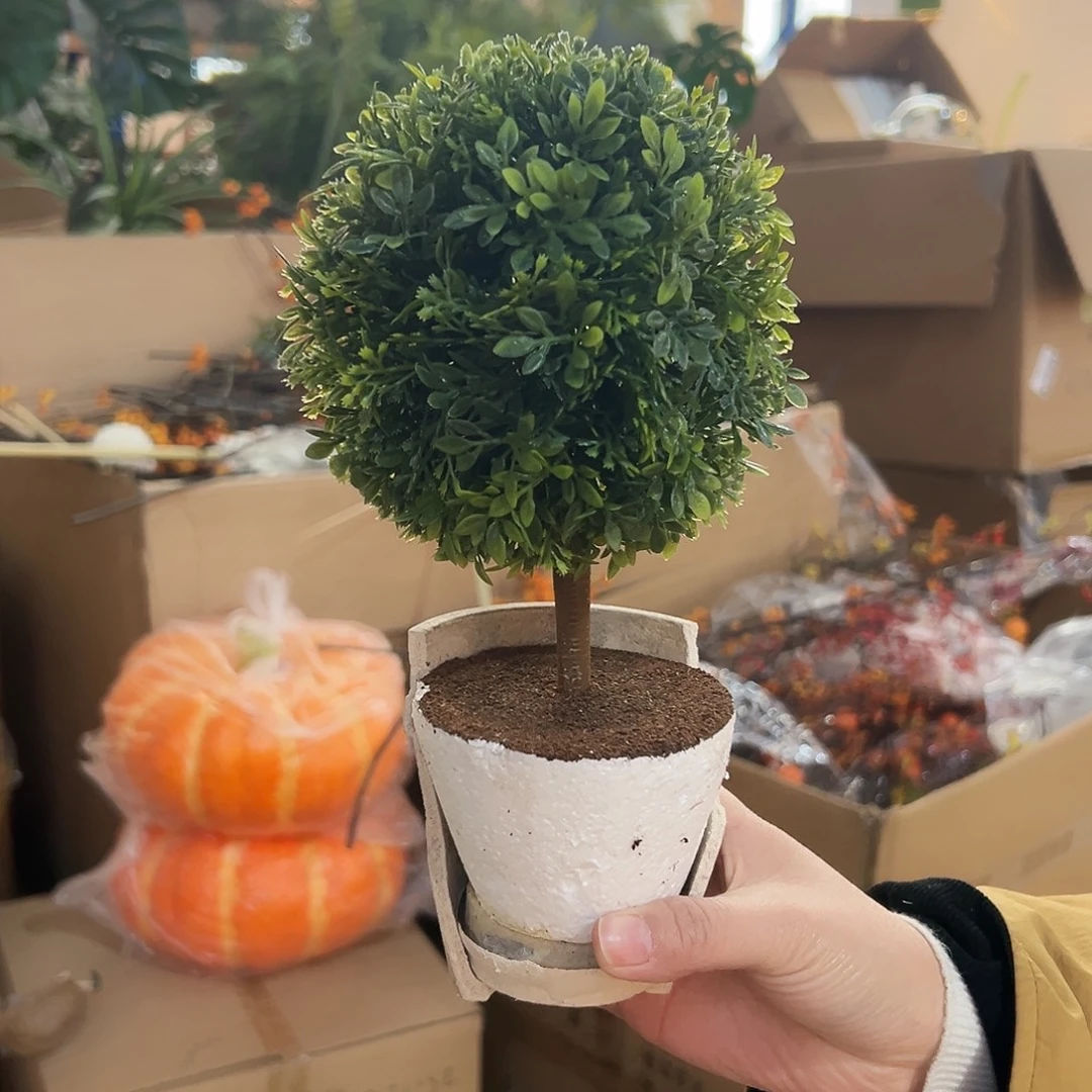 抖音直播树球一个