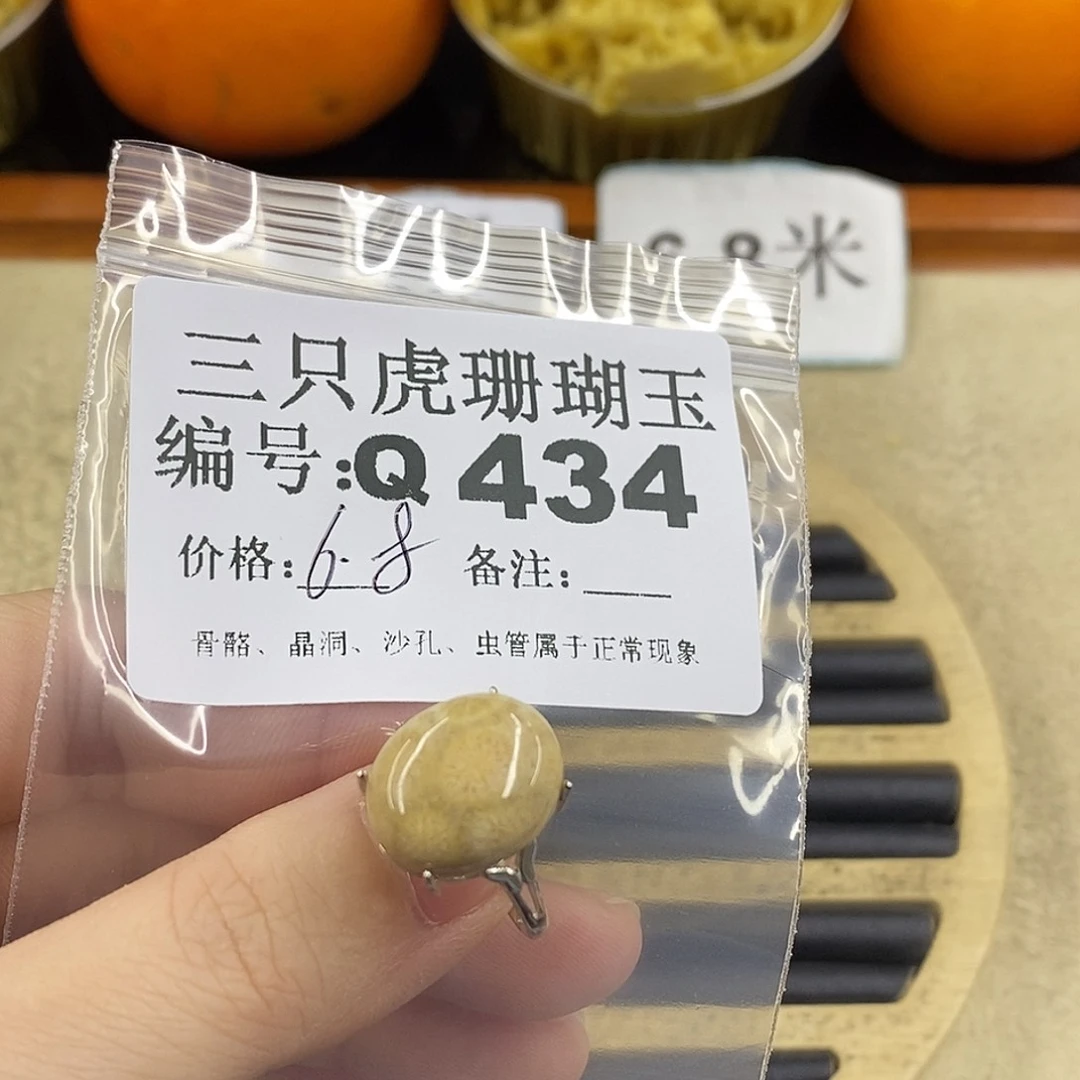 硅化珊瑚（珊瑚玉）1未镶嵌?****?