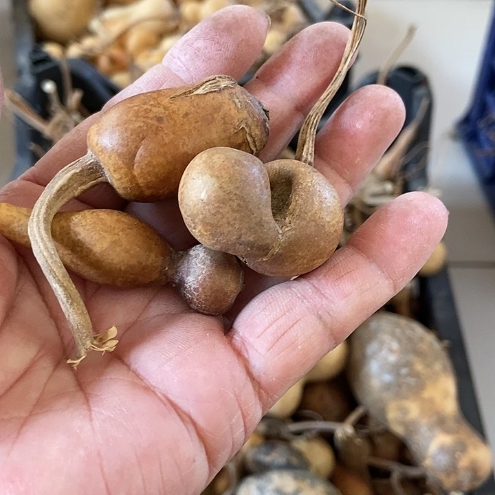 s***鹤DhkkgffgagagA