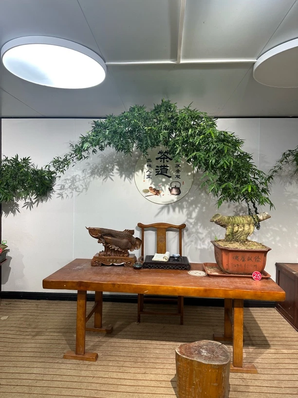 大长飘簕竹茶空间网红竹小叶簕竹高端盆景