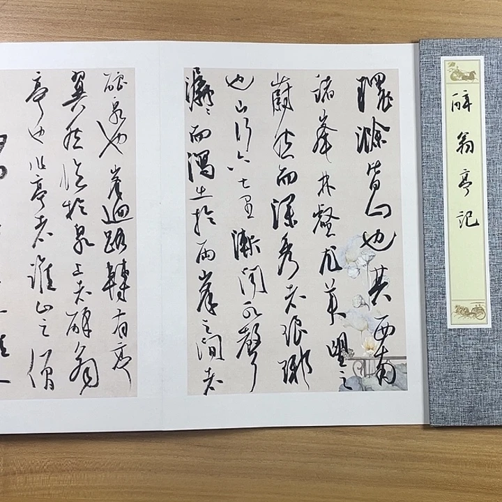 书法中书协老师作品