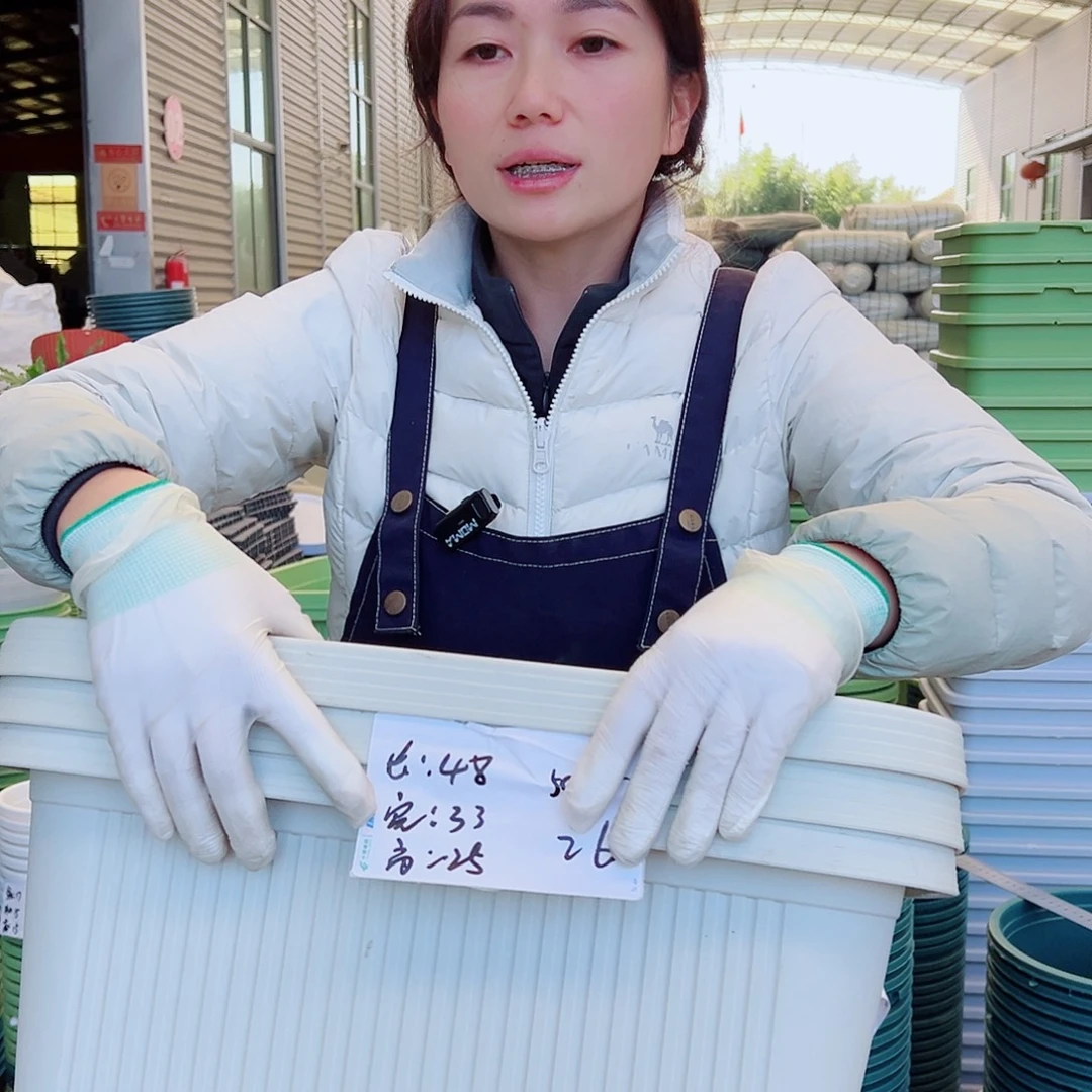 菜盆500#米白3个无托