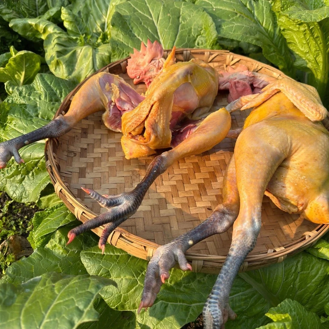 【睿睿】黑脚大公鸡买一只送一只 净重9.4-10斤/单只4.7斤以上