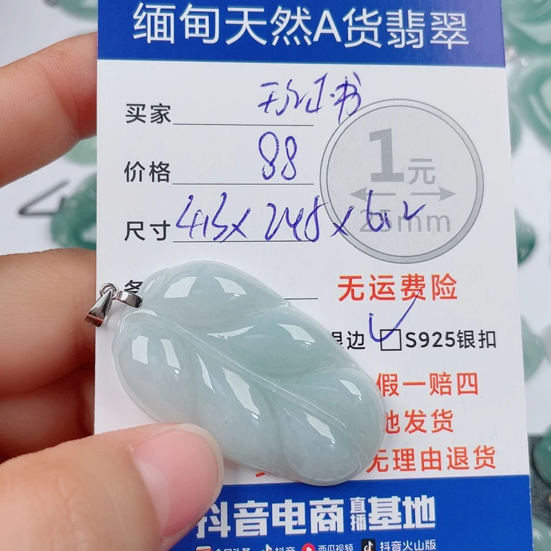 翡翠银S925镶嵌颈饰翡翠