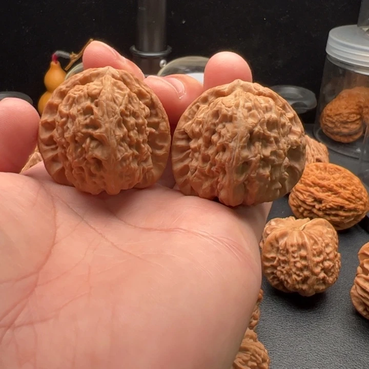 把件文玩核桃40白狮子