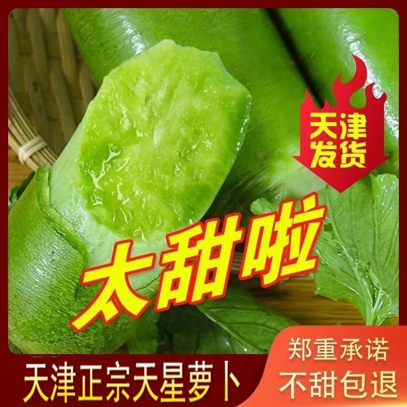 天津【天星02】水果萝卜脆甜多汁生吃水果型青萝卜大棚新鲜现拔发货