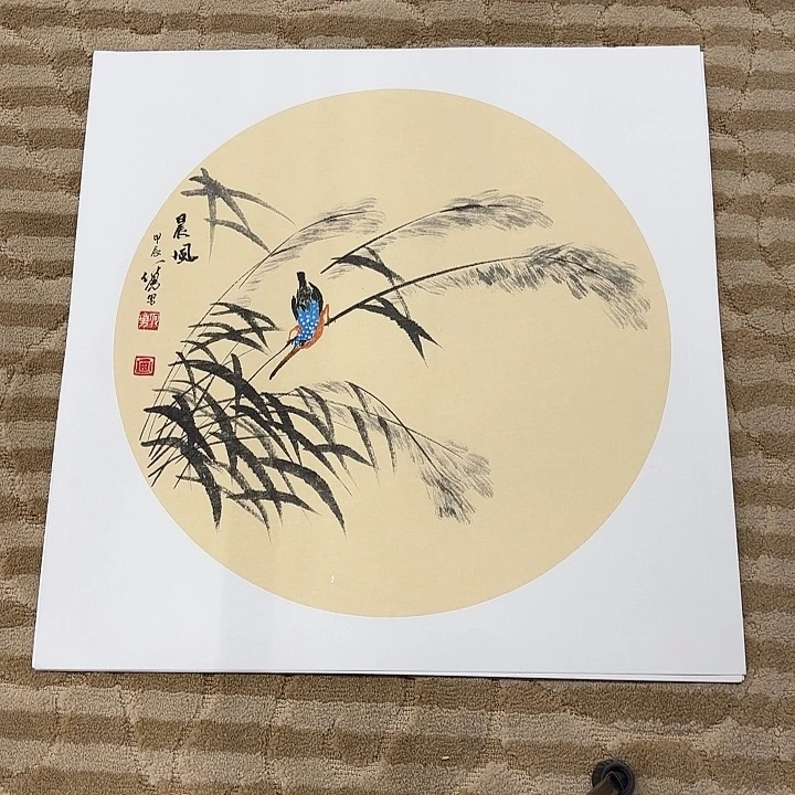国画花鸟等多种鸟类和鸟类50.50