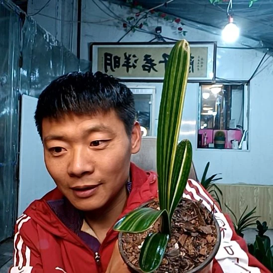 @雨蒙蒙39一颗！，？，？？