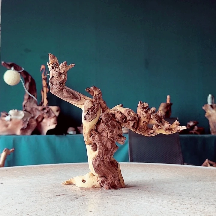 三***富金丝檀570 金丝红木羊蹄甲半成品