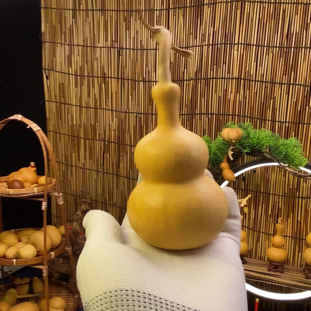 @*蕾舍的出品精选天然葫芦
