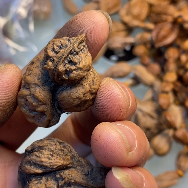 閑***静文玩核桃吊坠娜姐216