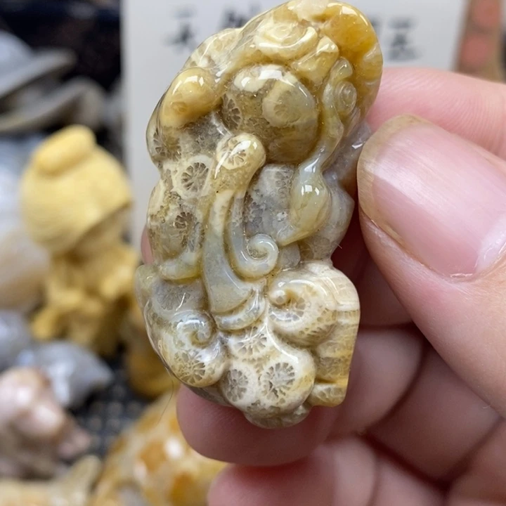 硅化珊瑚（珊瑚玉）未镶嵌颈饰