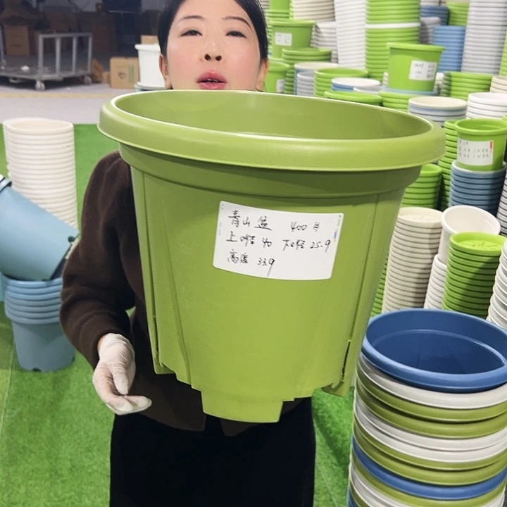 清仓青山口40高34果绿5只无托