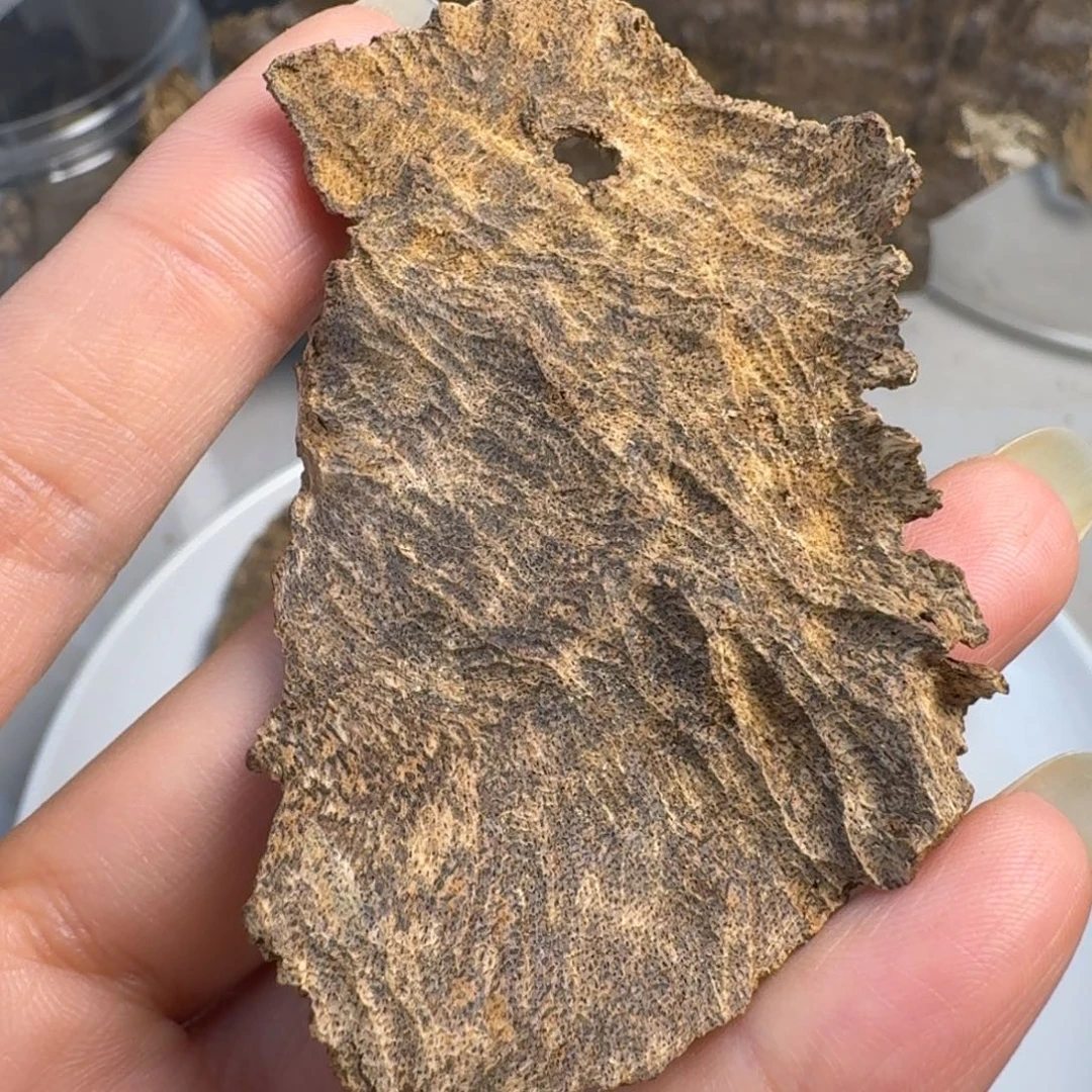 沉香沉香碎屑海南树根油4.67克