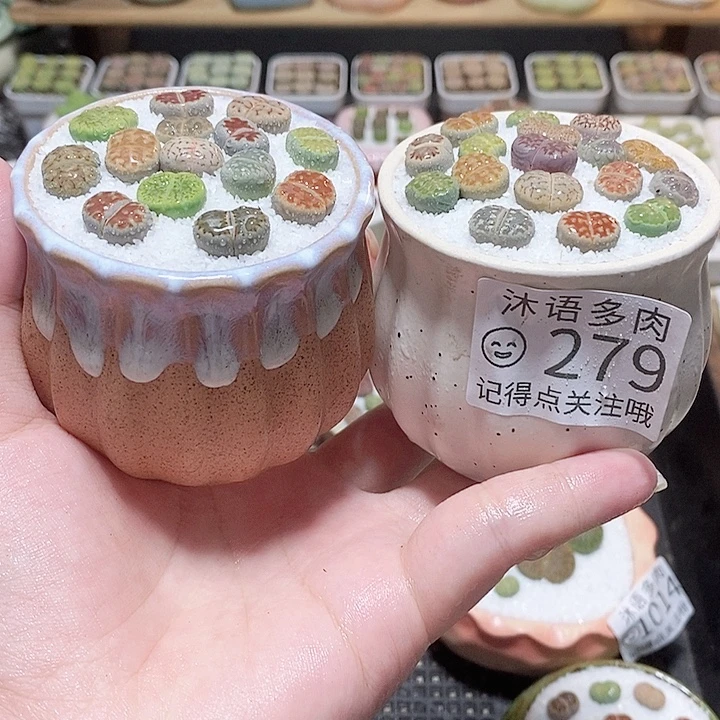 一物一拍 所见即所得279