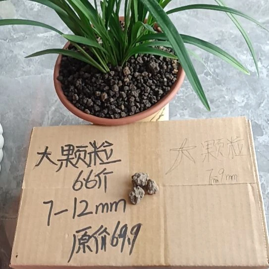 心***号兰菌颗粒大颗粒6.6斤