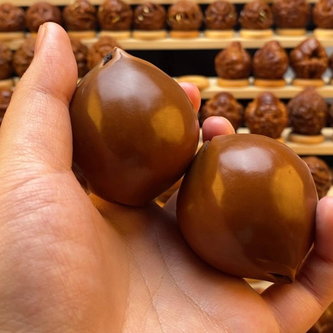 凤***花橄榄核手串/手链橄榄