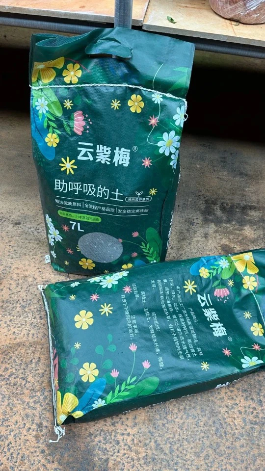 云紫梅营养土会呼吸的土