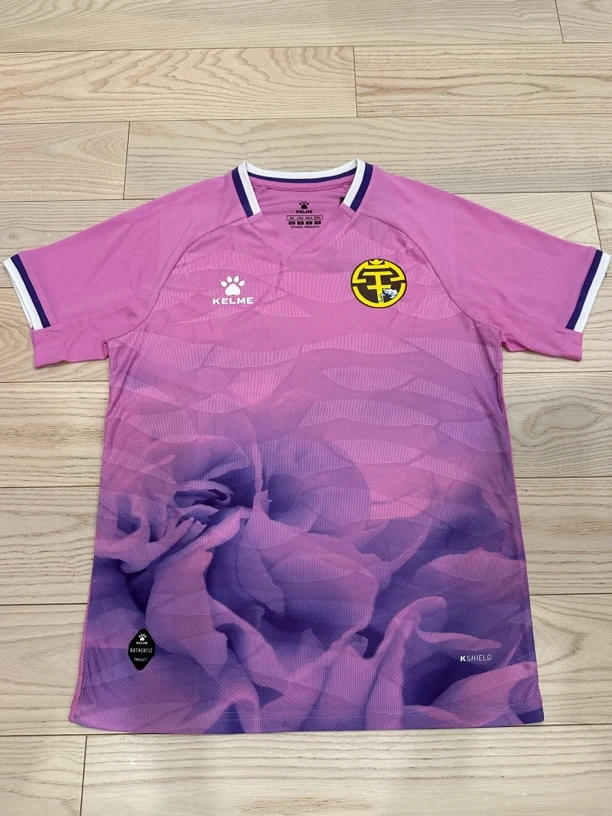 广西平果哈嘹球员定制训练比赛运动服